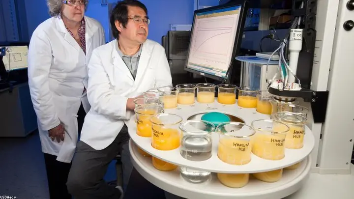 CRISPR Beyond Medicine